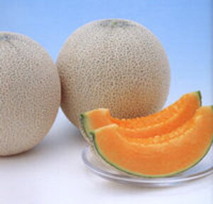 bhqiԓj 100 ߂  rZ Gz y]_|   ^lzyʏ5{ 5̂̓|Cg10{ΏۊOi|Cg3{Œ菤iz