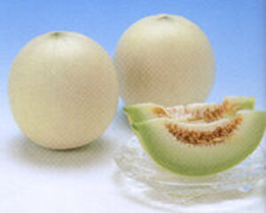 Oo[ 100 ߂  rZ Gz y]_|   ^lzyʏ5{ 5̂̓|Cg10{ΏۊOi|Cg3{Œ菤iz