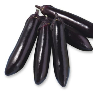 j 1000 iX Ȃ ֎q Gz y]_|   ^lzyʏ5{ 5̂̓|Cg10{ΏۊOi|Cg3{Œ菤iz