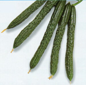 Ď 500 ӉZ LE イ Gz y]_|   ^lzyʏ5{ 5̂̓|Cg10{ΏۊOi|Cg3{Œ菤iz