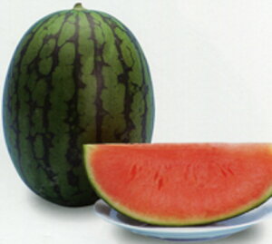 t 200 XCJ  Z Gz y]_|   ^lzyʏ5{ 5̂̓|Cg10{ΏۊOi|Cg3{Œ菤iz