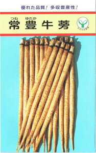 L 1l  S{E ڂy̎팤   ^l zyʏ5{ 5̂̓|Cg10{z