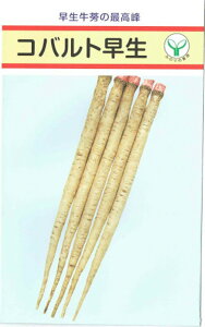 Rog 1l  S{E ڂy̎팤   ^l zyʏ5{ 5̂̓|Cg10{z