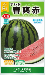 tu 200 XCJ  Zya_   ^lzyʏ5{ 5̂̓|Cg10{z