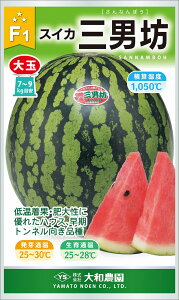 OjV 200 XCJ  Zya_   ^lzyʏ5{ 5̂̓|Cg10{z