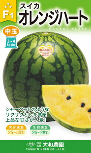IWn[g 200 XCJ  Zya_   ^lzyʏ5{ 5̂̓|Cg10{z