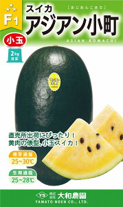 AWA 200 XCJ  Zya_   ^lzyʏ5{ 5̂̓|Cg10{z