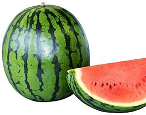 type3 200 XCJ  Zya_   ^lzyʏ5{ 5̂̓|Cg10{z