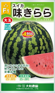 200 XCJ  Zya_   ^lzyʏ5{ 5̂̓|Cg10{z