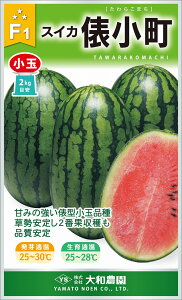 U 200 XCJ  Zya_   ^lzyʏ5{ 5̂̓|Cg10{z