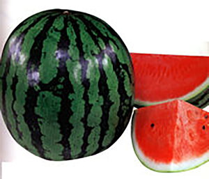 K 200 XCJ  Zya_   ^lzyʏ5{ 5̂̓|Cg10{z