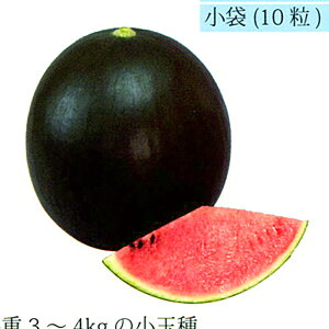 Ă܂ 200 XCJ  Zya_   ^lzyʏ5{ 5̂̓|Cg10{z