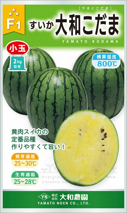 楽天市場 大和こだま 0粒 スイカ すいか 西瓜 大和農園 種 たね タネ 通常5倍 5のつく日はポイント10倍 全国種苗出荷センター
