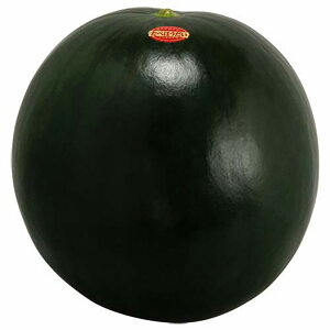 3xׂق 100 XCJ  Zya_   ^lzyʏ5{ 5̂̓|Cg10{z