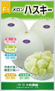 nXL[ 100 ߂  rZya_   ^lzyʏ5{ 5̂̓|Cg10{z