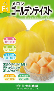 S[feCXg 100 ߂  rZya_   ^lzyʏ5{ 5̂̓|Cg10{z