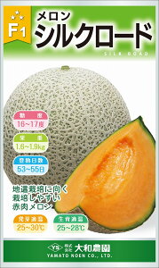 VN[h 100 ߂  rZya_   ^lzyʏ5{ 5̂̓|Cg10{z