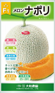 i| 100 ߂  rZya_   ^lzyʏ5{ 5̂̓|Cg10{z