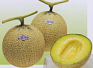 N[g 100 ߂  rZya_   ^lzyʏ5{ 5̂̓|Cg10{z