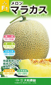 }JX 100 ߂  rZya_   ^lzyʏ5{ 5̂̓|Cg10{z