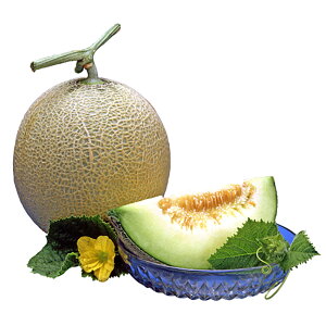 R[JX 100 ߂  rZya_   ^lzyʏ5{ 5̂̓|Cg10{z