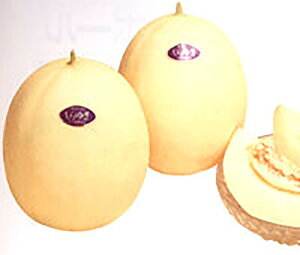 䂫 100 ߂  rZya_   ^lzyʏ5{ 5̂̓|Cg10{z