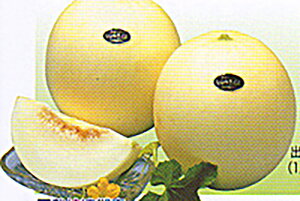 䂫EL 100 ߂  rZya_   ^lzyʏ5{ 5̂̓|Cg10{z