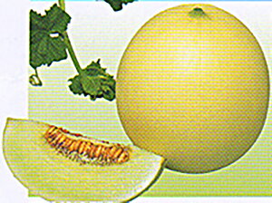 u 100 ߂  rZya_   ^lzyʏ5{ 5̂̓|Cg10{z