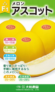 AXRbg 100 ߂  rZya_   ^lzyʏ5{ 5̂̓|Cg10{z