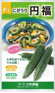 ~ 100 jKE ɂ Zya_   ^lzyʏ5{ 5̂̓|Cg10{z