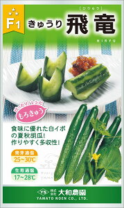  20ml ӉZ LE イ򗳁yʏ5{ 5̂̓|Cg10{z