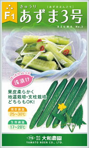 3 20ml ӉZ LE イ肠3yʏ5{ 5̂̓|Cg10{z