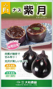  500 iX Ȃ ֎qya_   ^lzyʏ5{ 5̂̓|Cg10{z