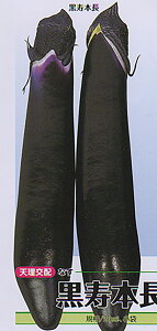 { 20ml iX Ȃ ֎qya_   ^lzyʏ5{ 5̂̓|Cg10{z