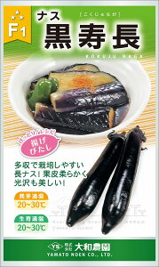  20ml iX Ȃ ֎qya_   ^lzyʏ5{ 5̂̓|Cg10{z