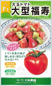 ^ 20ml g}g Ƃ܂ ׉ցya_   ^lzyʏ5{ 5̂̓|Cg10{z