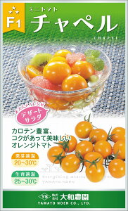 `y 1000 g}g Ƃ܂ ׉ցya_   ^lzyʏ5{ 5̂̓|Cg10{z