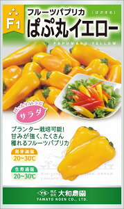 ςՊۃCG[ 100 s[} ҁ[܂ya_   ^lzyʏ5{ 5̂̓|Cg10{z