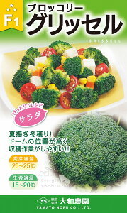 ObZ 5000R[g ubR[ya_   ^lzyʏ5{ 5̂̓|Cg10{z