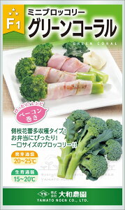 O[R[ 2000 ubR[ya_   ^lzyʏ5{ 5̂̓|Cg10{z