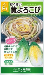 낱 10ml  nNTC ͂ya_   ^lzyʏ5{ 5̂̓|Cg10{z