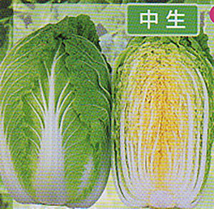 l 10ml  nNTC ͂ya_   ^lzyʏ5{ 5̂̓|Cg10{z