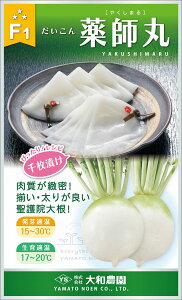 t 2dl 卪 _CR ya_   ^lzyʏ5{ 5̂̓|Cg10{z