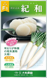 Ia 2dl 卪 _CR ya_   ^lzyʏ5{ 5̂̓|Cg10{z