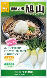 R 1dl 卪 _CR ya_   ^lzyʏ5{ 5̂̓|Cg10{z