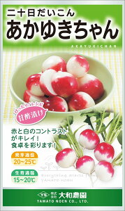 䂫 2dl 卪 _CR ya_   ^lzyʏ5{ 5̂̓|Cg10{z