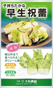 jQ 1000R[g jQ VNC キ炢ya_   ^lzyʏ5{ 5̂̓|Cg10{z