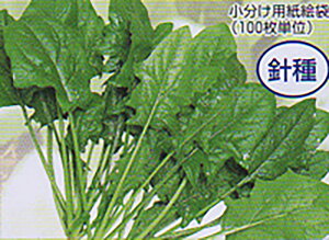 ĎO\ 1L ق @@ zE\E ق񂻂ya_   ^lzyʏ5{ 5̂̓|Cg10{z