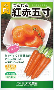 gԌܐ 20ml jW ɂ񂶂 lQya_   ^lzyʏ5{ 5̂̓|Cg10{z