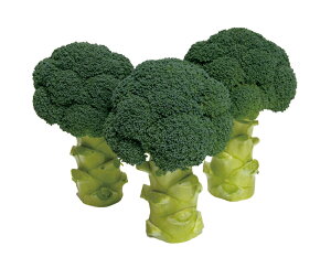 h[c[ ybgR[g5痱PC ubR[ c yc   ^l zyʏ5{ 5̂̓|Cg10{ΏۊOi|Cg3{Œ菤iz